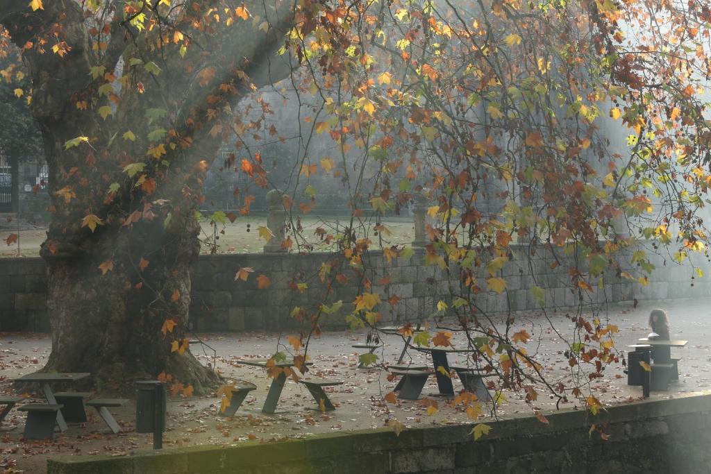 Solar Egas Moniz-Charming House & Local Experiences Villa Paco de Sousa Luaran gambar